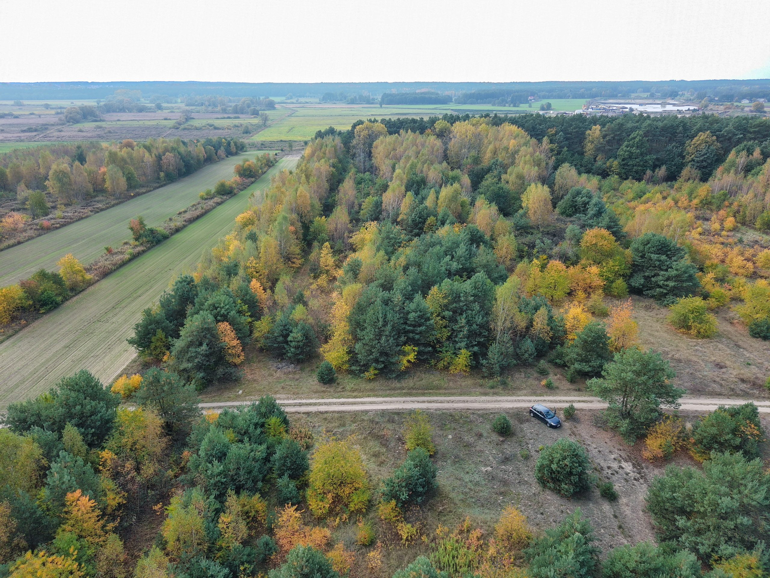 biuro nieruchomości płock