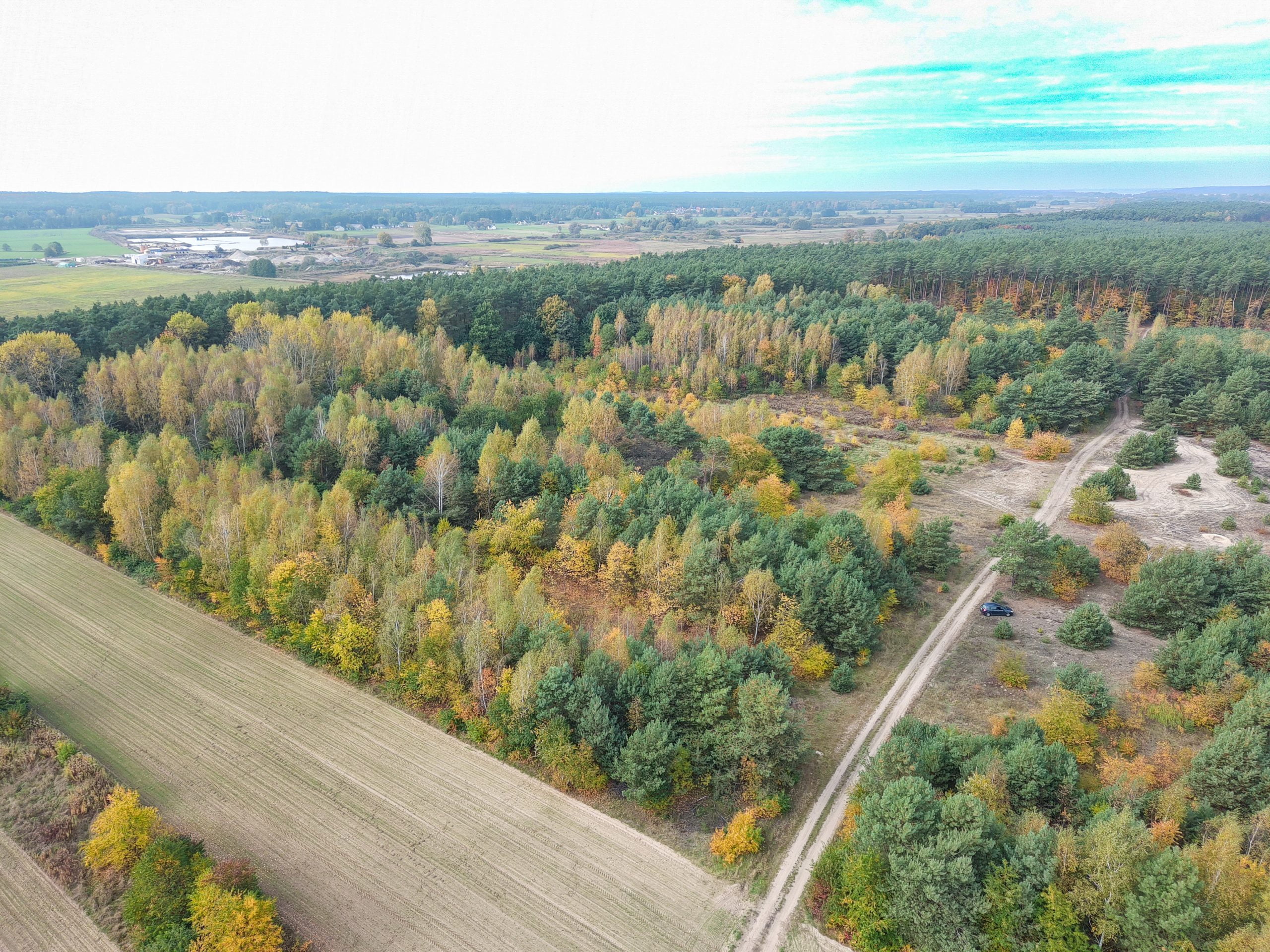 biuro nieruchomości płock