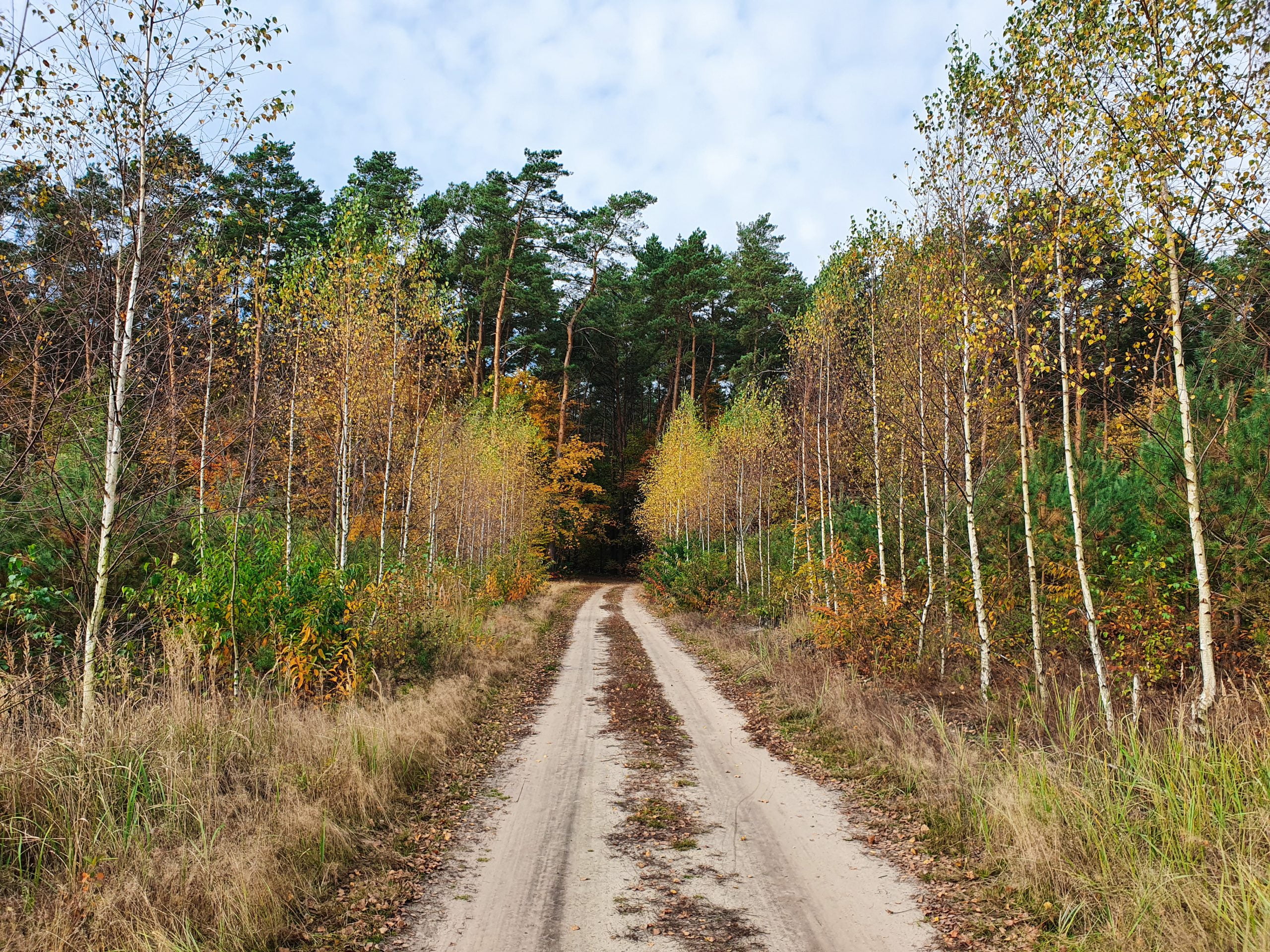 biuro nieruchomości płock