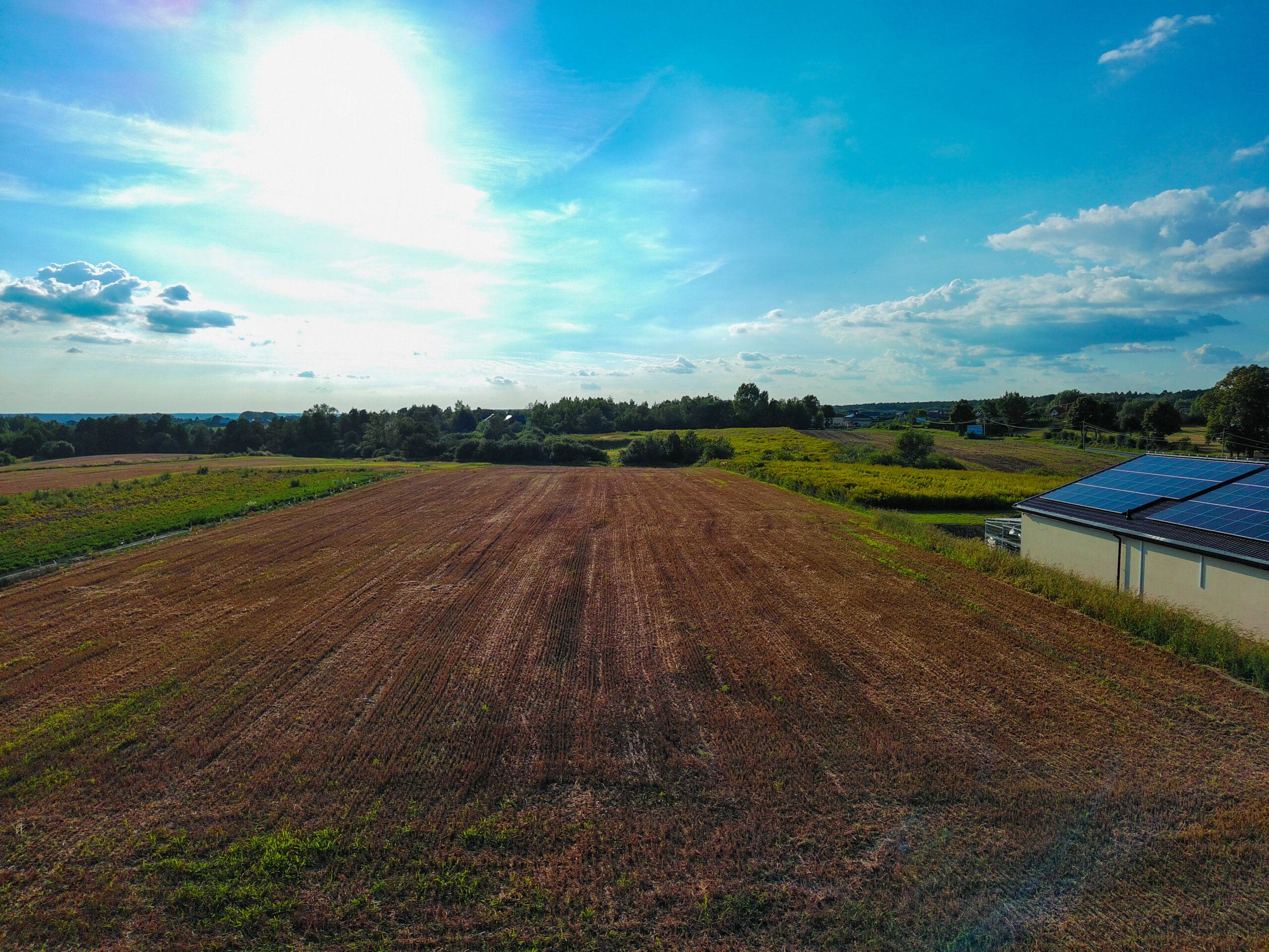 agencja nieruchomości płock